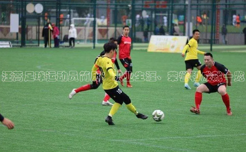 摩登7lite小米汪蒿足球运动员简历：职业生涯、荣誉和成就一览