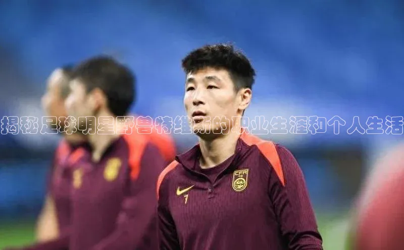 摩登v注册官网哇咔哇咔文化揭秘足球明星野兽特维斯的职业生涯和个人生活