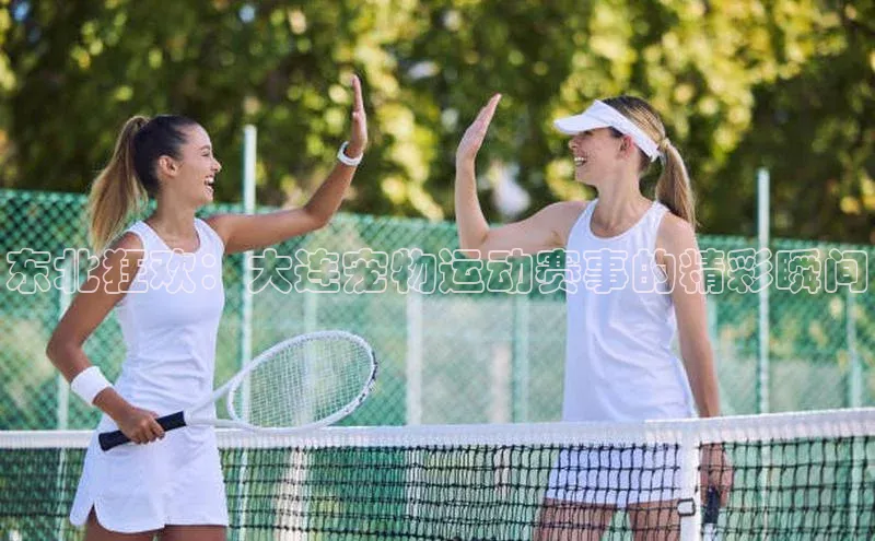 东北狂欢：大连宠物运动赛事的精彩瞬间