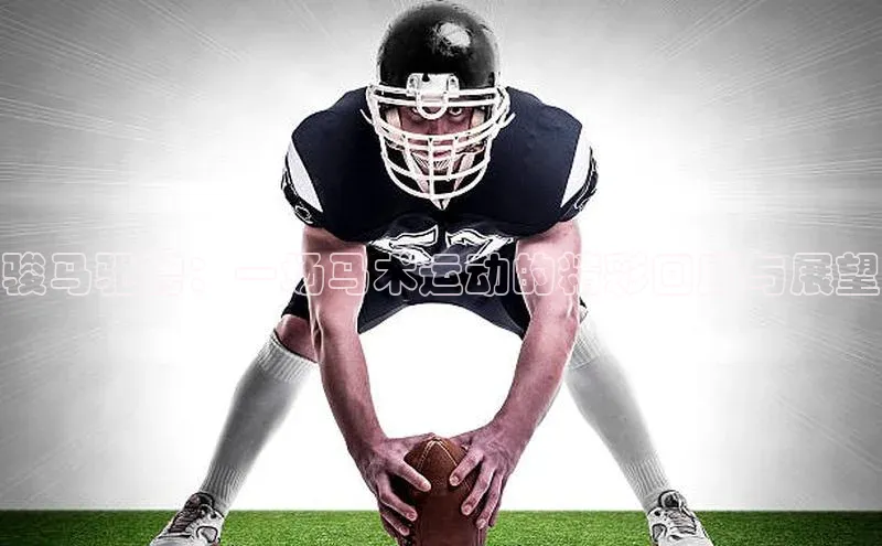 骏马驰骋：一场马术运动的精彩回顾与展望