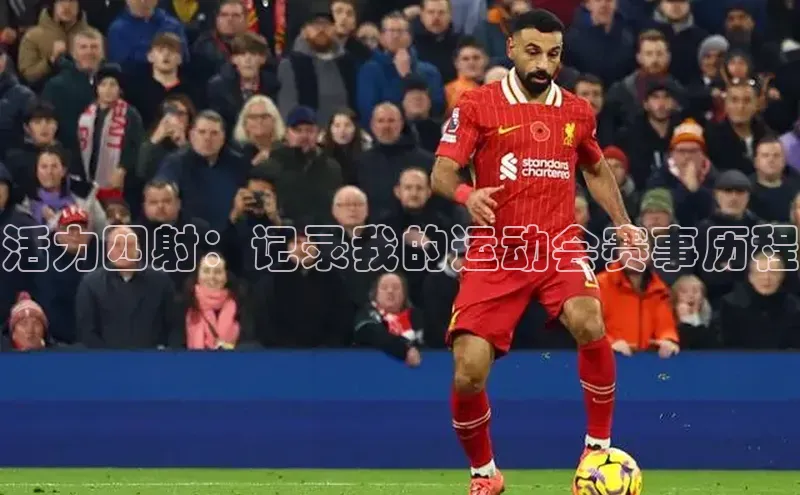 活力四射：记录我的运动会赛事历程