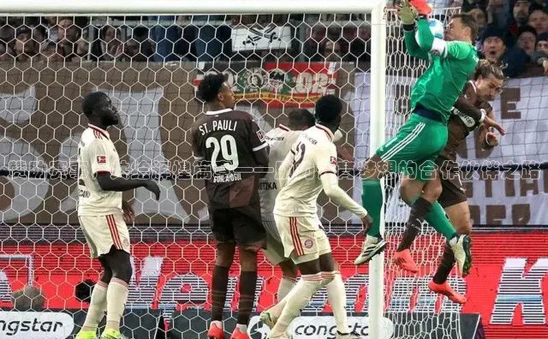 赞助赛事，共绘辉煌篇章——助力体育梦想的合作伙伴之路