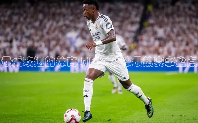 最受欢迎的体育项目：全球最热赛事盘点