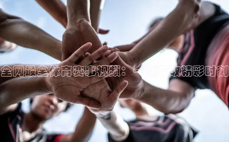 全网最全体育赛事视频：一键获取精彩时刻