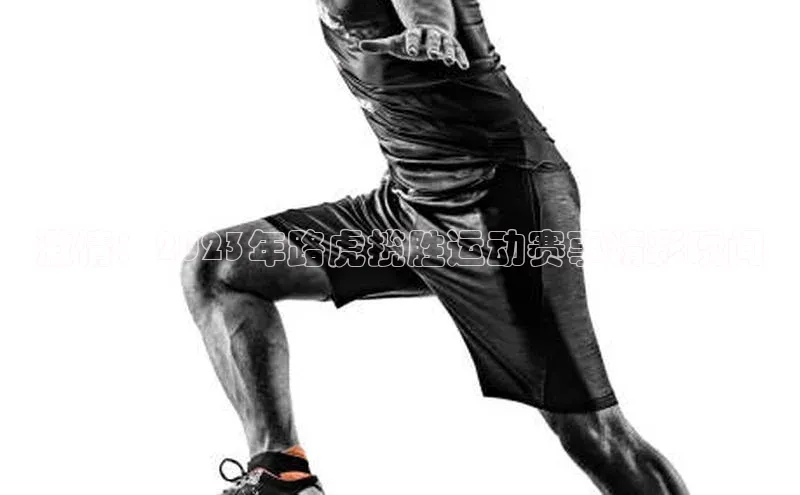 激情：2023年路虎揽胜运动赛事精彩瞬间