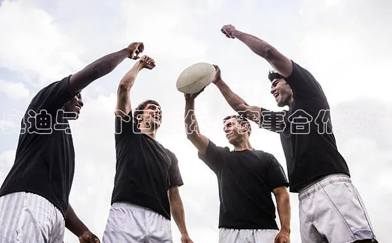 奥迪与哪个国际体育赛事合作举办