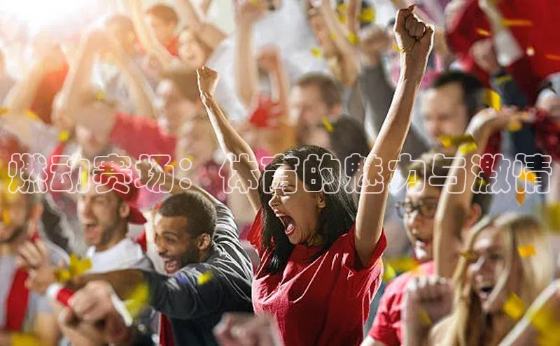 燃动赛场：体育的魅力与激情