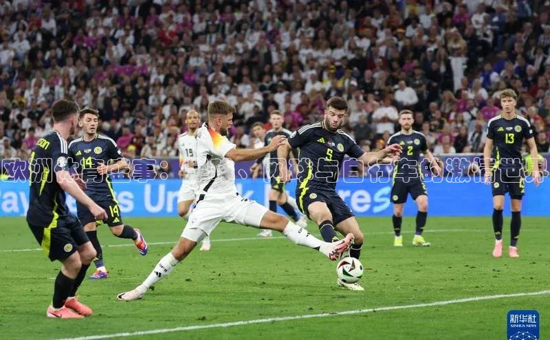 欧洲体育盛事：足球、网球与自行车的激情世界