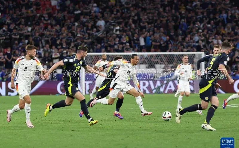 活力四射：2023省运动会的激情碰撞与卓越表现