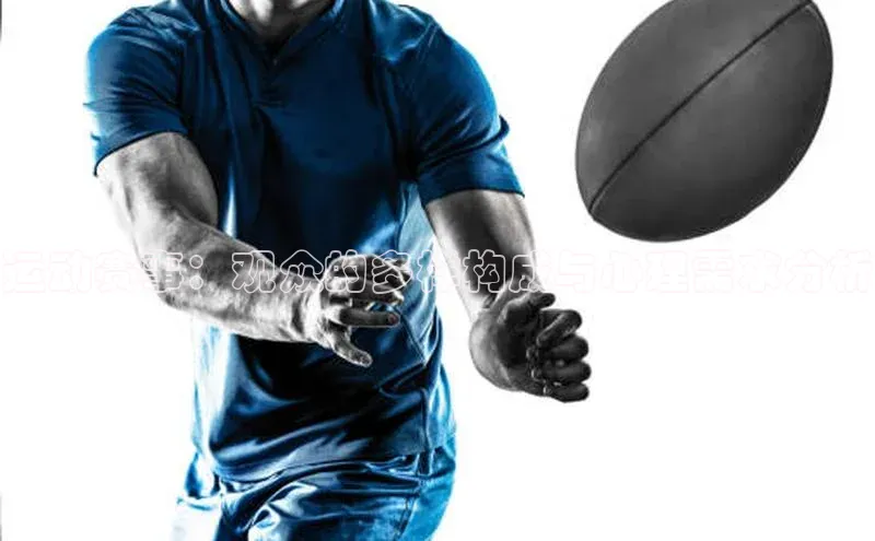 运动赛事：观众的多样构成与心理需求分析