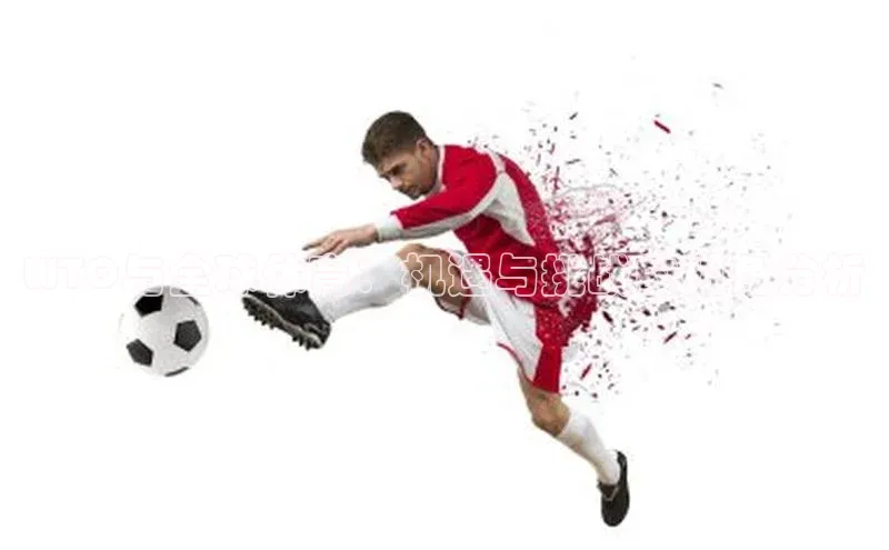 WTO与全球体育：机遇与挑战的视角分析