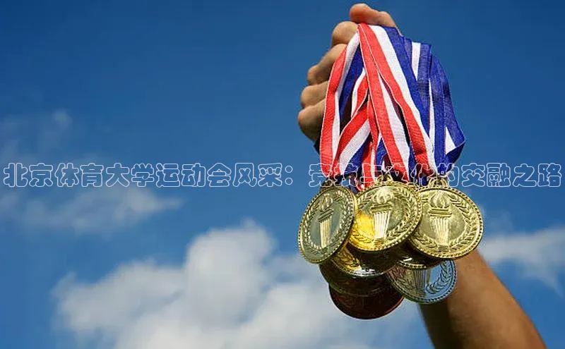 北京体育大学运动会风采：竞技与文化的交融之路