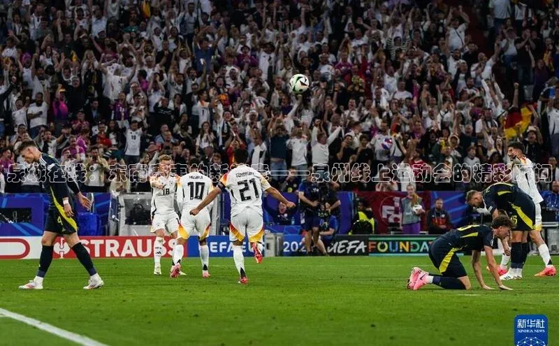 泉城在线：东南赛事的新篇章——泉州线上运动会的精彩瞬间