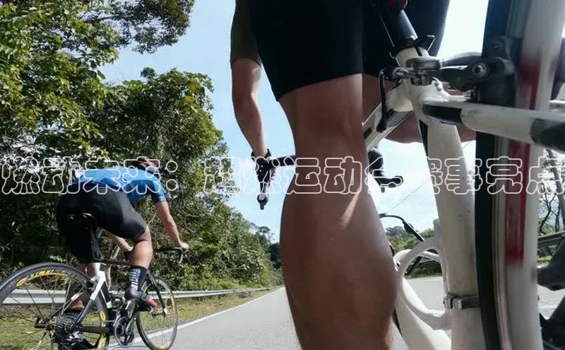 摩登7登登录地址